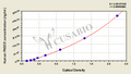 Human Fibronectin type III domain-containing protein 5(FNDC5) ELISA kit