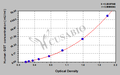 Human gamma glutamyl transpeptidase,GGT ELISA Kit