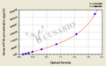 Horse hypoxia inducible factor 1, alpha subunit (basic helix-loop-helix transcription factor) (HIF1A) ELISA kit