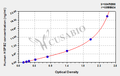 Human Heat shock protein beta-2(HSPB2) ELISA kit