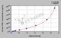 Human Interferon kappa(IFNK) ELISA kit