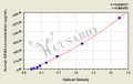 Human GTPase KRas(KRAS) ELISA kit
