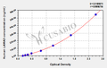 Human Laminin subunit alpha-3(LAMA3) ELISA kit