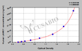 Human Laminin subunit gamma-1(LAMC1) ELISA kit