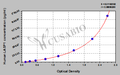 Human LIM and SH3 domain protein 1(LASP1) ELISA kit