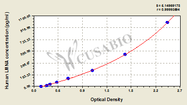 Human lamin A/C (LMNA) ELISA kit