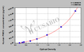 Human melanin-concentrating hormone (PMCH) ELISA kit