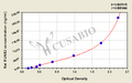 Rat Runt-related transcription factor 2(RUNX2) ELISA kit