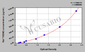 Rat triggering receptor expressed on myeloid cells 2(TREM2) ELISA kit