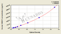 Human Vasohibin-1(VASH1) ELISA kit