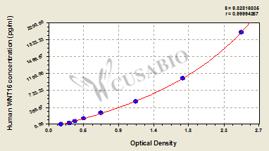 Human Protein Wnt-16(WNT16) ELISA kit