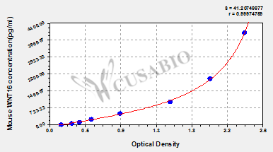 Mouse Protein Wnt-16(WNT16) ELISA kit