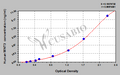 Human Proto-oncogene Wnt-3(WNT3) ELISA kit