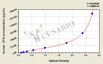 Human Zyxin(ZYX) ELISA kit