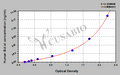 Human B-cell lymphoma-extra large (Bcl-xl)ELISA kit