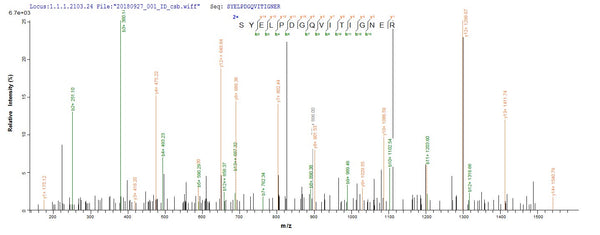 Based on the SEQUEST from database of E.coli host and target protein, the LC-MS/MS Analysis result of CSB-EP001207HU could indicate that this peptide derived from E.coli-expressed Homo sapiens (Human) ACTB.