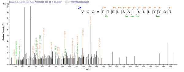 Based on the SEQUEST from database of E.coli host and target protein, the LC-MS/MS Analysis result of CSB-EP002746MO could indicate that this peptide derived from E.coli-expressed Mus musculus (Mouse) Bmp8b.
