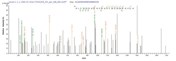 Based on the SEQUEST from database of E.coli host and target protein, the LC-MS/MS Analysis result of CSB-EP006095MO could indicate that this peptide derived from E.coli-expressed Mus musculus (Mouse) Cst7.