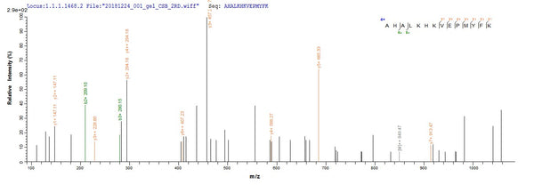 Based on the SEQUEST from database of E.coli host and target protein, the LC-MS/MS Analysis result of CSB-EP006376RA could indicate that this peptide derived from E.coli-expressed Rattus norvegicus (Rat) Cygb.