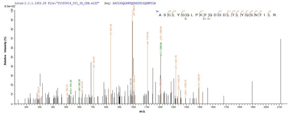 Based on the SEQUEST from database of E.coli host and target protein, the LC-MS/MS Analysis result of CSB-EP009989HUe0 could indicate that this peptide derived from E.coli-expressed Homo sapiens (Human) GSTP1.