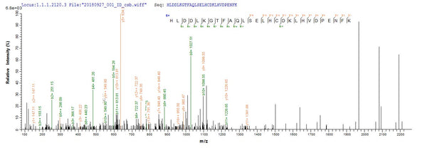 Based on the SEQUEST from database of E.coli host and target protein, the LC-MS/MS Analysis result of CSB-EP010155HU could indicate that this peptide derived from E.coli-expressed Homo sapiens (Human) HBG1.