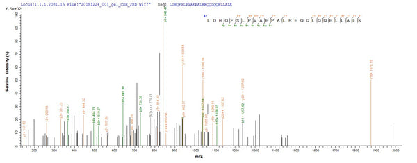 Based on the SEQUEST from database of E.coli host and target protein, the LC-MS/MS Analysis result of CSB-EP010240HU could indicate that this peptide derived from E.coli-expressed Homo sapiens (Human) HDAC4.