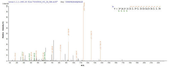 Based on the SEQUEST from database of E.coli host and target protein, the LC-MS/MS Analysis result of CSB-EP010594HU could indicate that this peptide derived from E.coli-expressed Homo sapiens (Human) HNF4A.