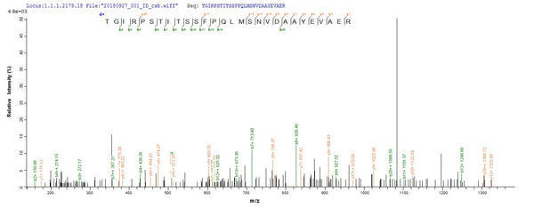 Based on the SEQUEST from database of E.coli host and target protein, the LC-MS/MS Analysis result of CSB-EP014667HU could indicate that this peptide derived from E.coli-expressed Homo sapiens (Human) MMP20.