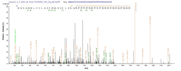 Based on the SEQUEST from database of E.coli host and target protein, the LC-MS/MS Analysis result of CSB-EP019397ENV could indicate that this peptide derived from E.coli-expressed Escherichia coli (strain K12) rbsK.