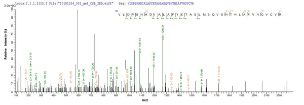 Based on the SEQUEST from database of E.coli host and target protein, the LC-MS/MS Analysis result of CSB-EP025391HU1 could indicate that this peptide derived from E.coli-expressed Homo sapiens (Human) TYK2.