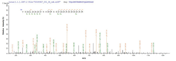 Based on the SEQUEST from database of E.coli host and target protein, the LC-MS/MS Analysis result of CSB-EP300885ENV could indicate that this peptide derived from E.coli-expressed Escherichia coli (strain K12) lpp.