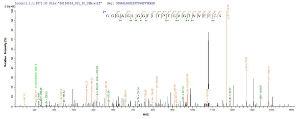 Based on the SEQUEST from database of E.coli host and target protein, the LC-MS/MS Analysis result of CSB-EP305169ENV could indicate that this peptide derived from E.coli-expressed Escherichia coli (strain K12) atoD.