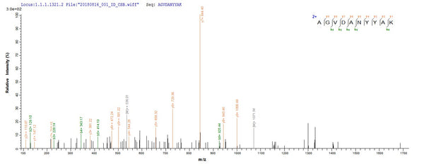 Based on the SEQUEST from database of E.coli host and target protein, the LC-MS/MS Analysis result of CSB-EP305800FKZ could indicate that this peptide derived from E.coli-expressed Staphylococcus aureus aur.