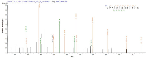 Based on the SEQUEST from database of E.coli host and target protein, the LC-MS/MS Analysis result of CSB-EP309098TPR could indicate that this peptide derived from E.coli-expressed Treponema pallidum (strain Nichols) troA.