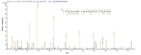 Based on the SEQUEST from database of E.coli host and target protein, the LC-MS/MS Analysis result of CSB-EP314306VBH could indicate that this peptide derived from E.coli-expressed Escherichia coli traY.
