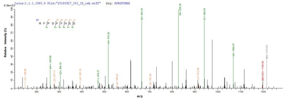 Based on the SEQUEST from database of E.coli host and target protein, the LC-MS/MS Analysis result of CSB-EP319205ENL could indicate that this peptide derived from E.coli-expressed Escherichia coli traY.
