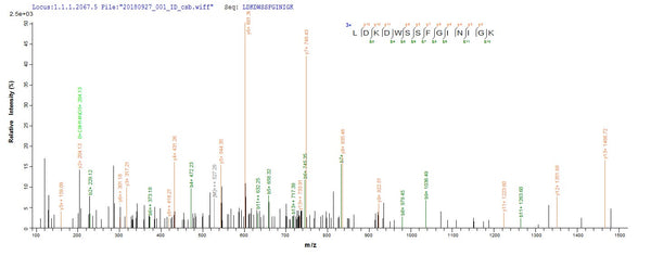 Based on the SEQUEST from database of E.coli host and target protein, the LC-MS/MS Analysis result of CSB-EP319266VBG could indicate that this peptide derived from E.coli-expressed Vesicular stomatitis Indiana virus (strain Glasgow) (VSIV) N.