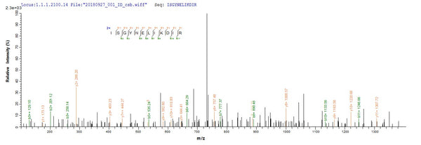 Based on the SEQUEST from database of E.coli host and target protein, the LC-MS/MS Analysis result of CSB-EP321092EDZ could indicate that this peptide derived from E.coli-expressed Enterobacteria phage T4 (Bacteriophage T4) dsbA.