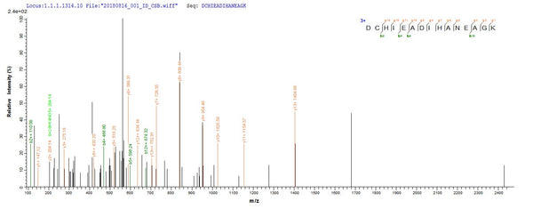 Based on the SEQUEST from database of E.coli host and target protein, the LC-MS/MS Analysis result of CSB-EP322536TPR could indicate that this peptide derived from E.coli-expressed Treponema pallidum (strain Nichols) tpd.
