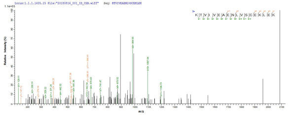 Based on the SEQUEST from database of E.coli host and target protein, the LC-MS/MS Analysis result of CSB-EP327254DUB could indicate that this peptide derived from E.coli-expressed Clostridium acetobutylicum (strain ATCC 824 / DSM 792 / JCM 1419 / LMG 5710 / VKM B-1787) ctfA.