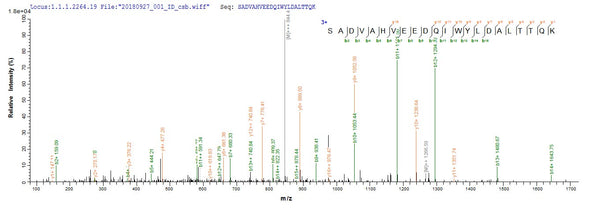 Based on the SEQUEST from database of E.coli host and target protein, the LC-MS/MS Analysis result of CSB-EP329798NGS could indicate that this peptide derived from E.coli-expressed Neosartorya fumigata (strain ATCC MYA-4609 / Af293 / CBS 101355 / FGSC A1100) (Aspergillus fumigatus) alp1.