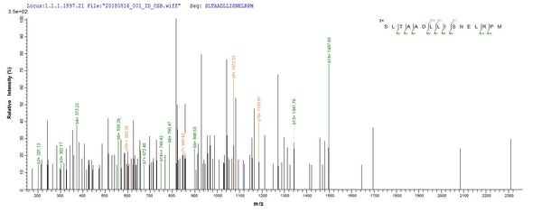 Based on the SEQUEST from database of E.coli host and target protein, the LC-MS/MS Analysis result of CSB-EP332931DUB could indicate that this peptide derived from E.coli-expressed Clostridium acetobutylicum (strain ATCC 824 / DSM 792 / JCM 1419 / LMG 5710 / VKM B-1787) ctfB.