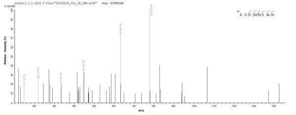 Based on the SEQUEST from database of E.coli host and target protein, the LC-MS/MS Analysis result of CSB-EP333469THS could indicate that this peptide derived from E.coli-expressed Treponema phagedenis tmpB.
