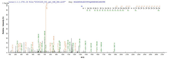 Based on the SEQUEST from database of E.coli host and target protein, the LC-MS/MS Analysis result of CSB-EP337054FMW could indicate that this peptide derived from E.coli-expressed Streptococcus pneumoniae psaA.
