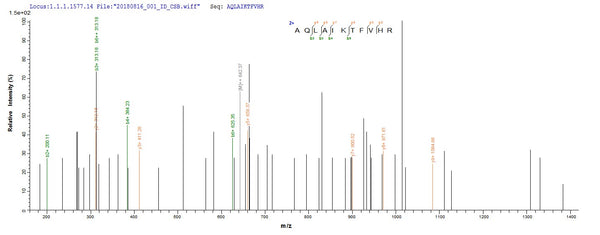 Based on the SEQUEST from database of E.coli host and target protein, the LC-MS/MS Analysis result of CSB-EP349383EGX could indicate that this peptide derived from E.coli-expressed Escherichia coli O6:H1 (strain CFT073 / ATCC 700928 / UPEC) tdcD.