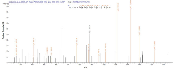 Based on the SEQUEST from database of E.coli host and target protein, the LC-MS/MS Analysis result of CSB-EP352276MLA could indicate that this peptide derived from E.coli-expressed Mycobacterium paratuberculosis (strain ATCC BAA-968 / K-10) MAP_1030.