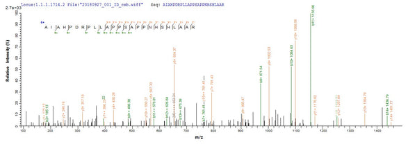 Based on the SEQUEST from database of E.coli host and target protein, the LC-MS/MS Analysis result of CSB-EP353051HGH could indicate that this peptide derived from E.coli-expressed Herpes simplex virus type 2 (strain SA8) (Simian agent 8) US12.