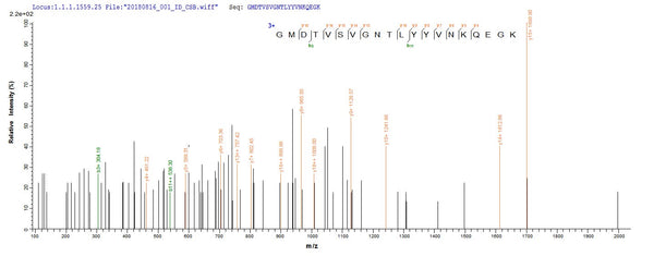 Based on the SEQUEST from database of E.coli host and target protein, the LC-MS/MS Analysis result of CSB-EP356041HPOa0 could indicate that this peptide derived from E.coli-expressed Human respiratory syncytial virus A (strain A2) F.