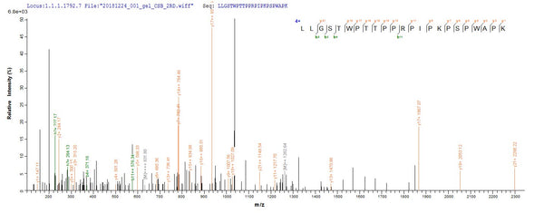 Based on the SEQUEST from database of E.coli host and target protein, the LC-MS/MS Analysis result of CSB-EP356968HML could indicate that this peptide derived from E.coli-expressed Human papillomavirus type 16 E4.