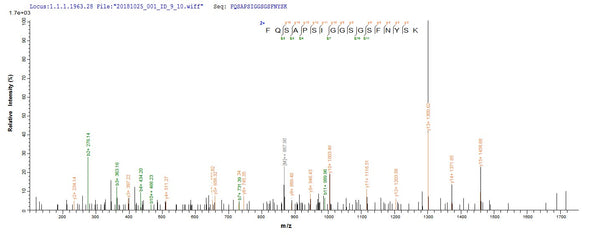 Based on the SEQUEST from database of E.coli host and target protein, the LC-MS/MS Analysis result of CSB-EP357861SUL could indicate that this peptide derived from E.coli-expressed Staphylococcus aureus (strain MW2) hlgA.